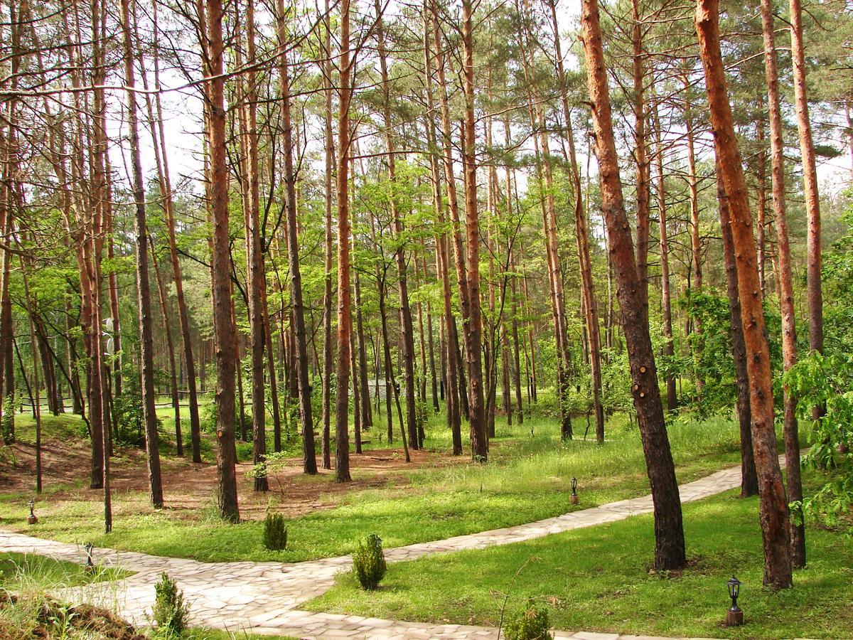 Pershyi Kordon Tourist Complex Hotell Medvedevka Exteriör bild